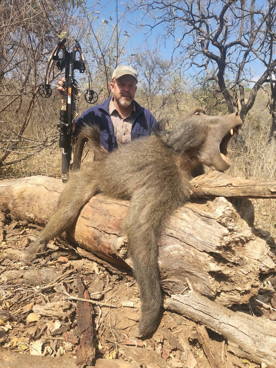 Baboon Hunting at Africa Hunt Lodge