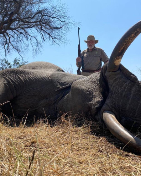 Elepant Hunt Zimbabwe