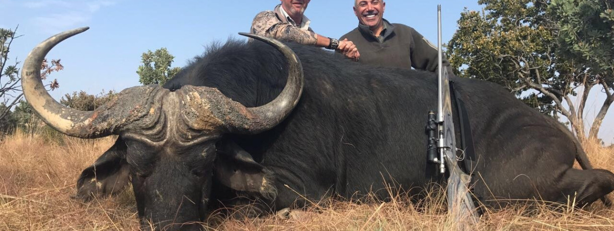 Sable and Cape Buffalo Package