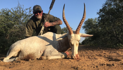 White Blesbok Hunting Africa Hunt Lodge