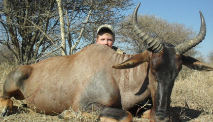 Tsessebe Hunting Africa Hunt Lodge
