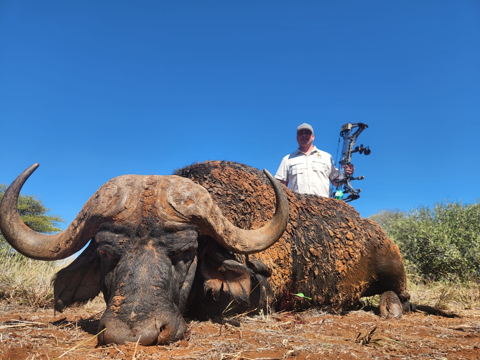 41" Archery Cape Buffalo Hunt April 2024