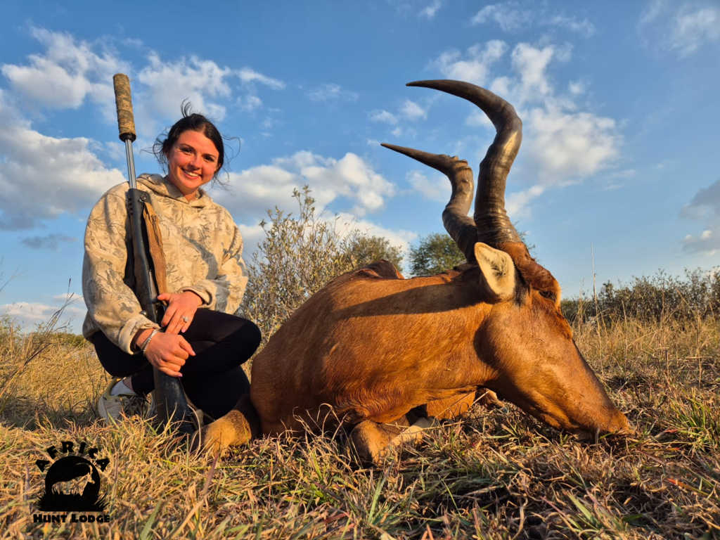 Red Hartebeest Hunt - June 2026