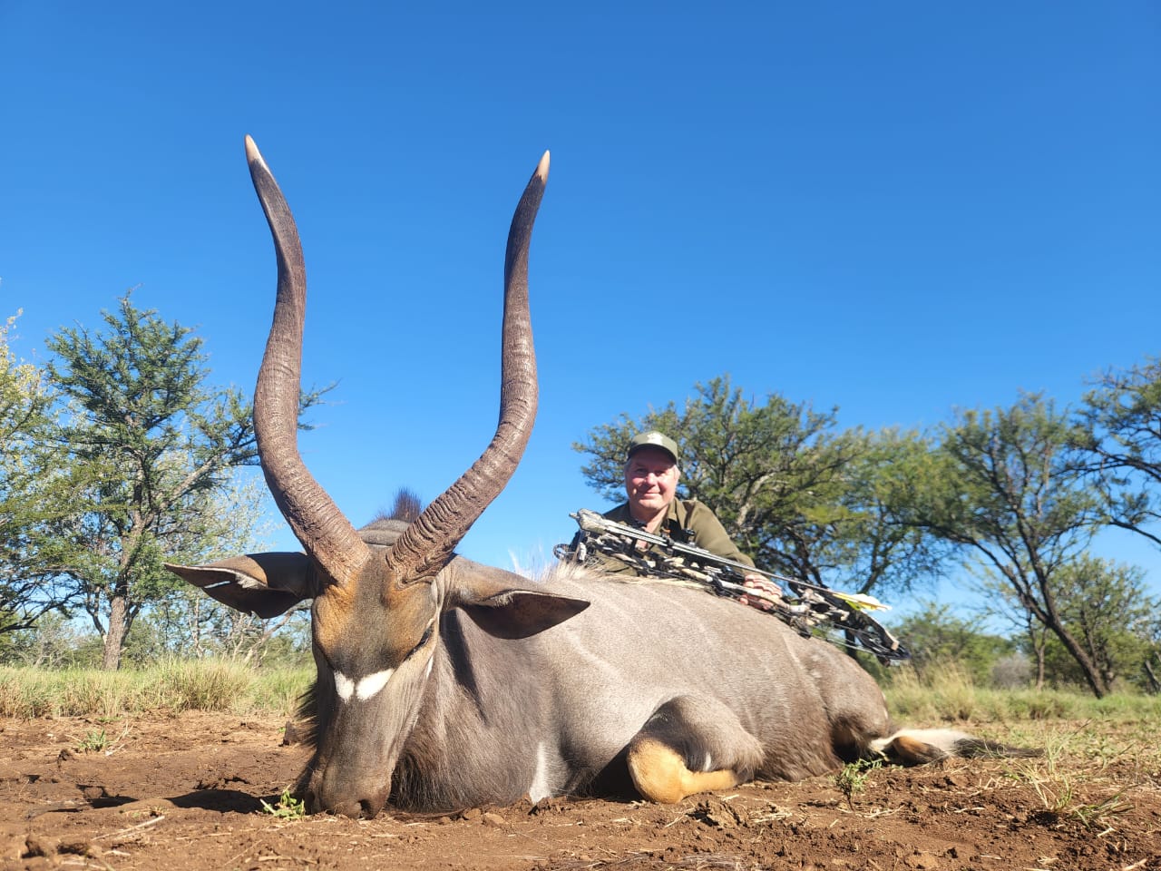 Nyala Bow Hunt April 2024