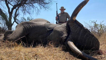 Trophy Elephant Hunt Africa Hunt Lodge