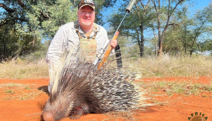 May 2022 Trophy African Porcupine Hunt