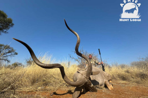 Giant Kudu Bulls Africa Hunting