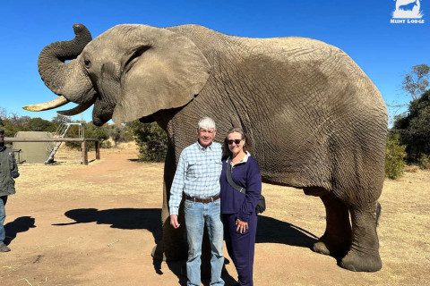 Photo Opportunity with Elephants