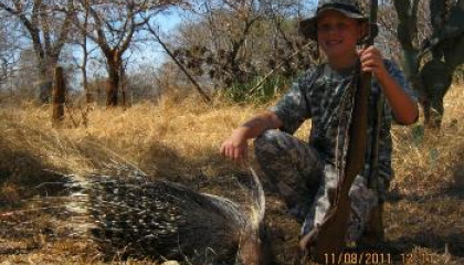 African Porcupine Hunting