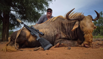 Kings Wildebeest Hunting